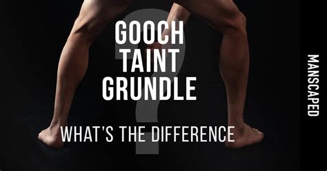 what is a gooch on the human body male|The Male Gooch: An Exploration Of Its Anatomy And Significance